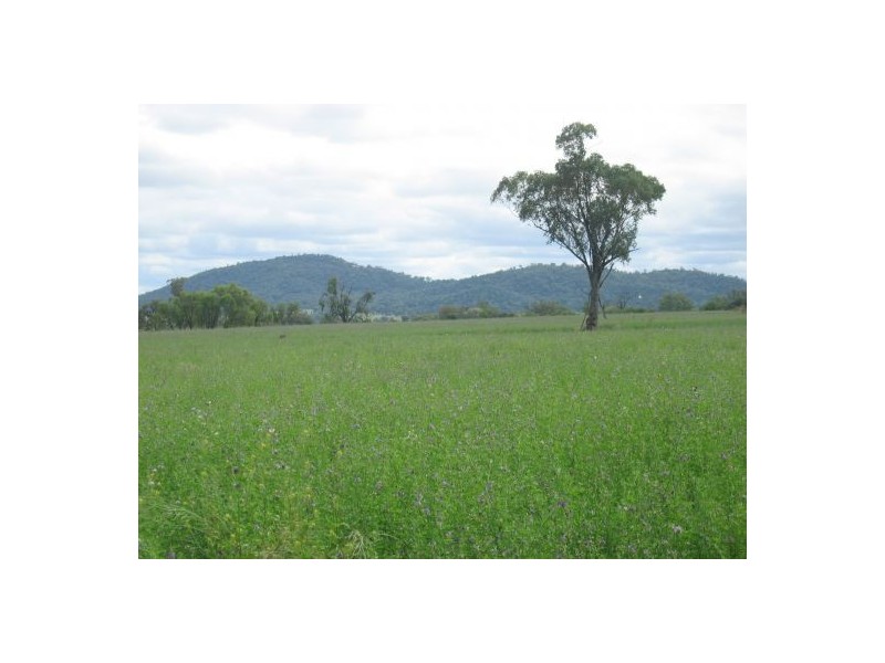 “Fairview”, Bingara NSW 2404