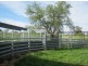 “Fairview”, Bingara NSW 2404