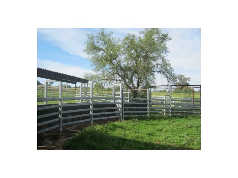 “Fairview”, Bingara NSW 2404