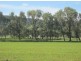 “Fairview”, Bingara NSW 2404