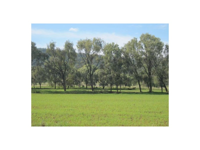 “Fairview”, Bingara NSW 2404