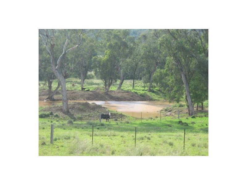 “Fairview”, Bingara NSW 2404