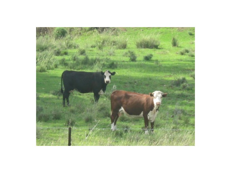 “Fairview”, Bingara NSW 2404