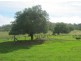 “Fairview”, Bingara NSW 2404