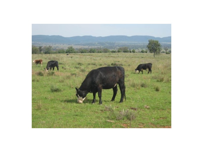 “Fairview”, Bingara NSW 2404
