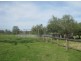 “Fairview”, Bingara NSW 2404