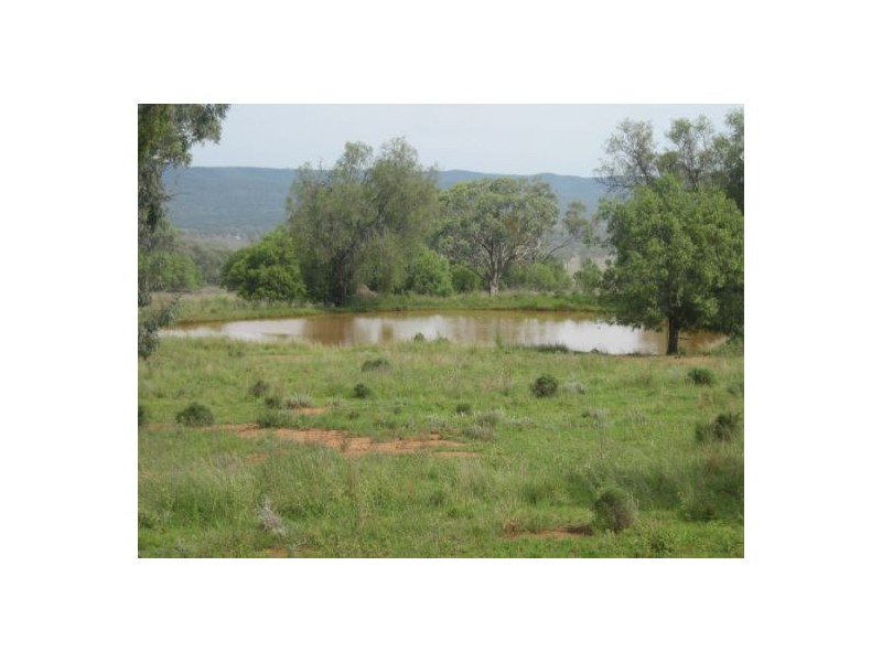 “Fairview”, Bingara NSW 2404