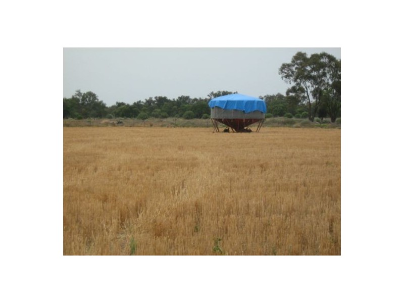Glenelvyn, Lightning Ridge NSW 2834