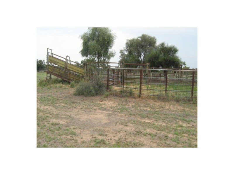 Glenelvyn, Lightning Ridge NSW 2834