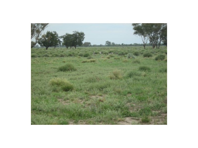 Glenelvyn, Lightning Ridge NSW 2834