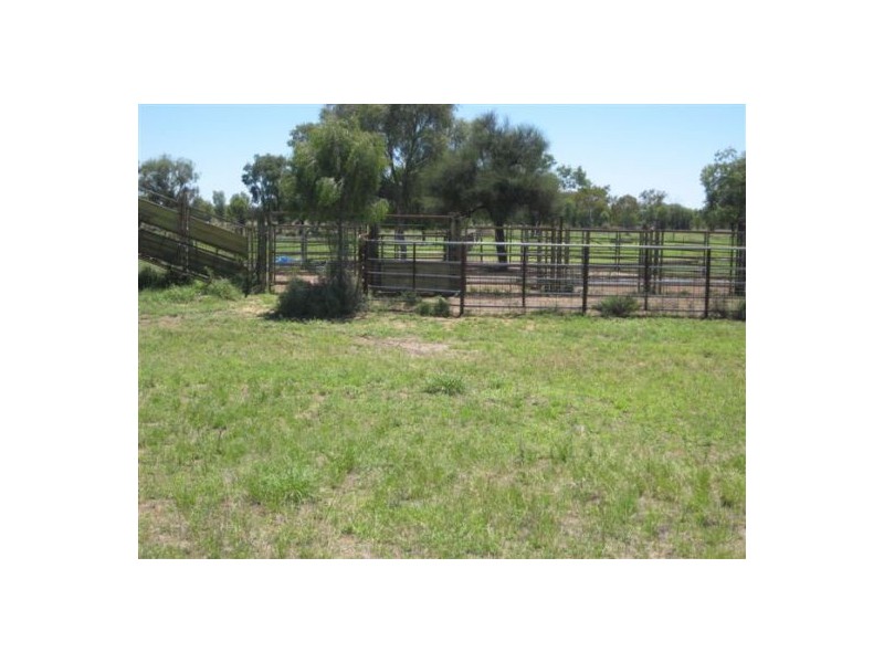 Glenelvyn, Lightning Ridge NSW 2834