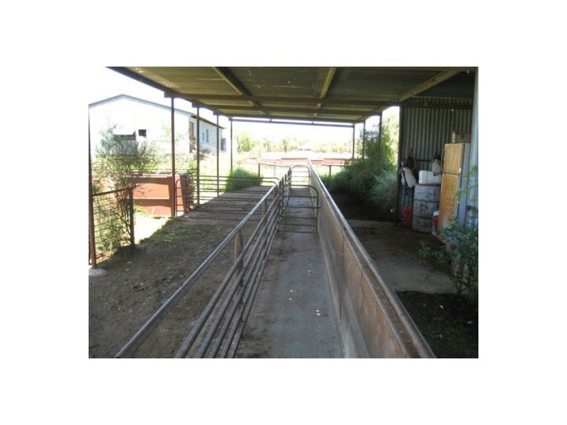 Glenelvyn, Lightning Ridge NSW 2834