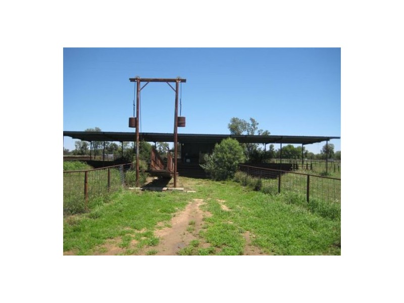 Glenelvyn, Lightning Ridge NSW 2834