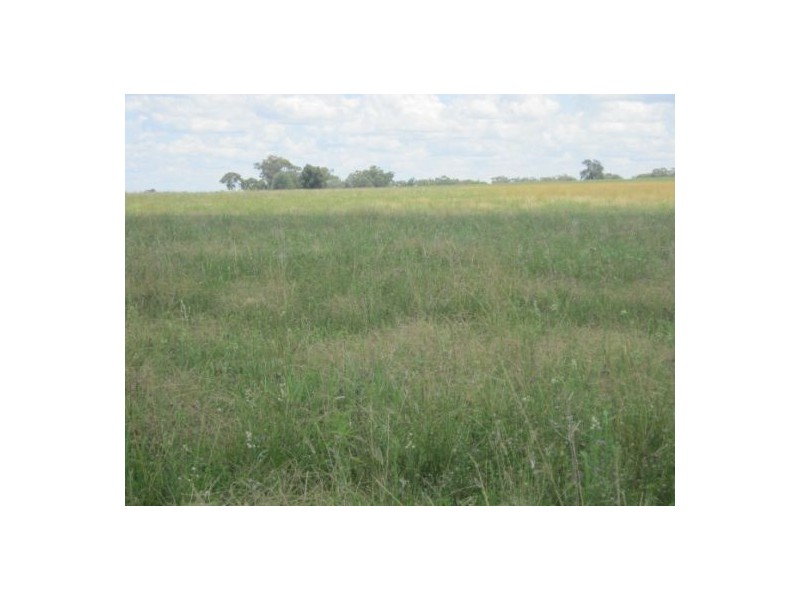 . “Pretoria Park”, Delungra NSW 2403