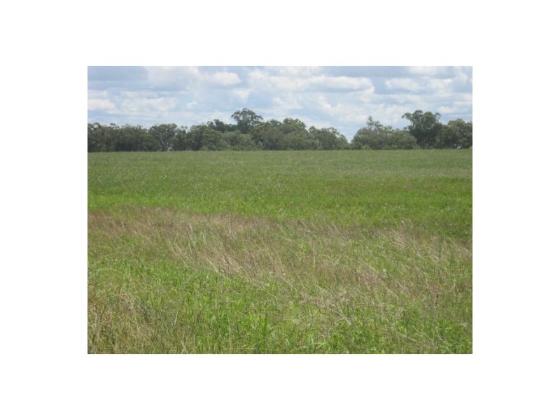 . “Pretoria Park”, Delungra NSW 2403