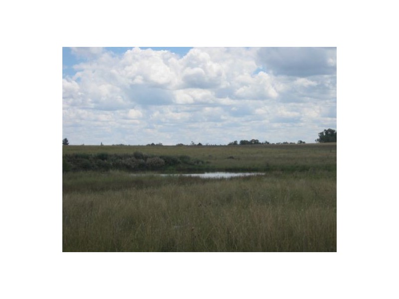 . “Pretoria Park”, Delungra NSW 2403