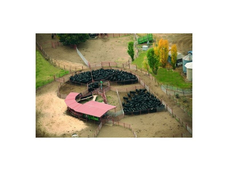 “Woombi”, Guyra NSW 2365