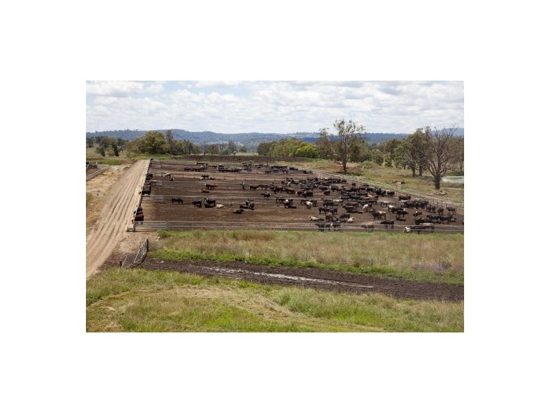 “Woombi”, Guyra NSW 2365