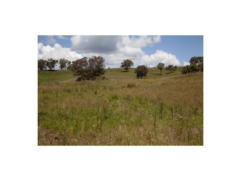 “Woombi”, Guyra NSW 2365