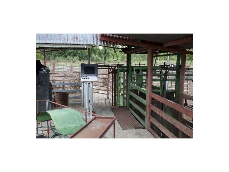 “Woombi”, Guyra NSW 2365