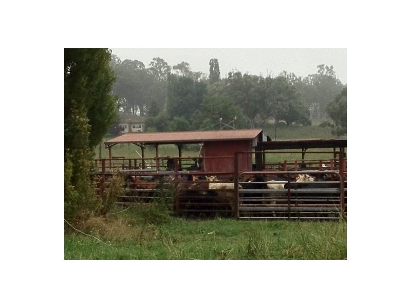 “Woombi”, Guyra NSW 2365