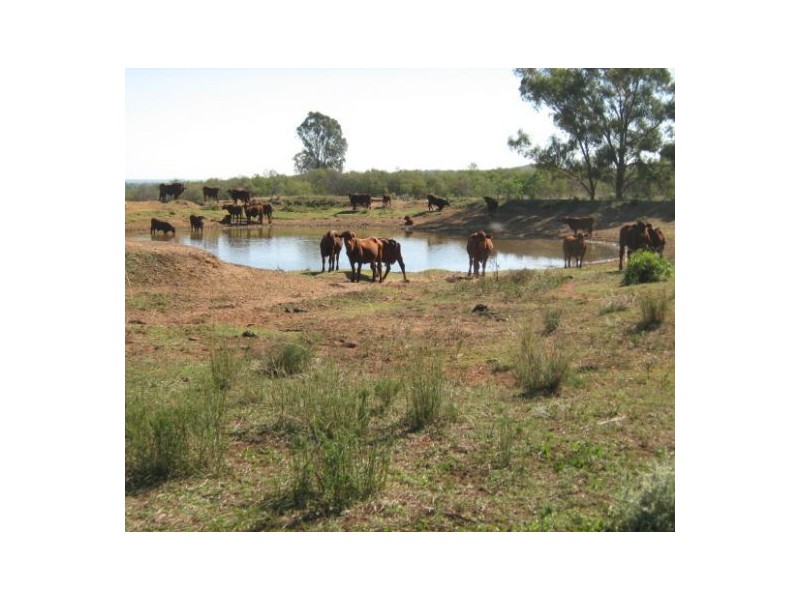 “Belleville”, Biniguy NSW 2399