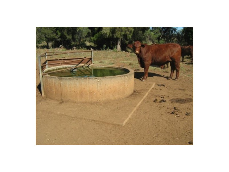 “Belleville”, Biniguy NSW 2399