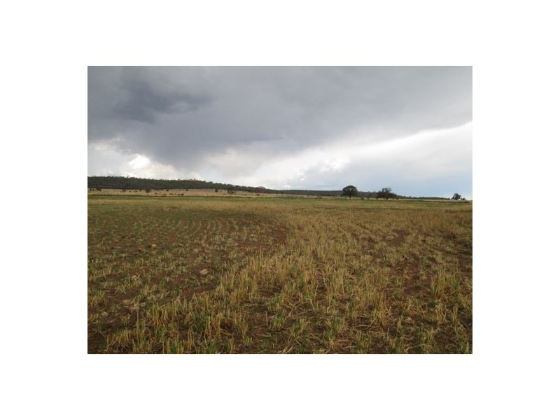 “Belleville”, Biniguy NSW 2399