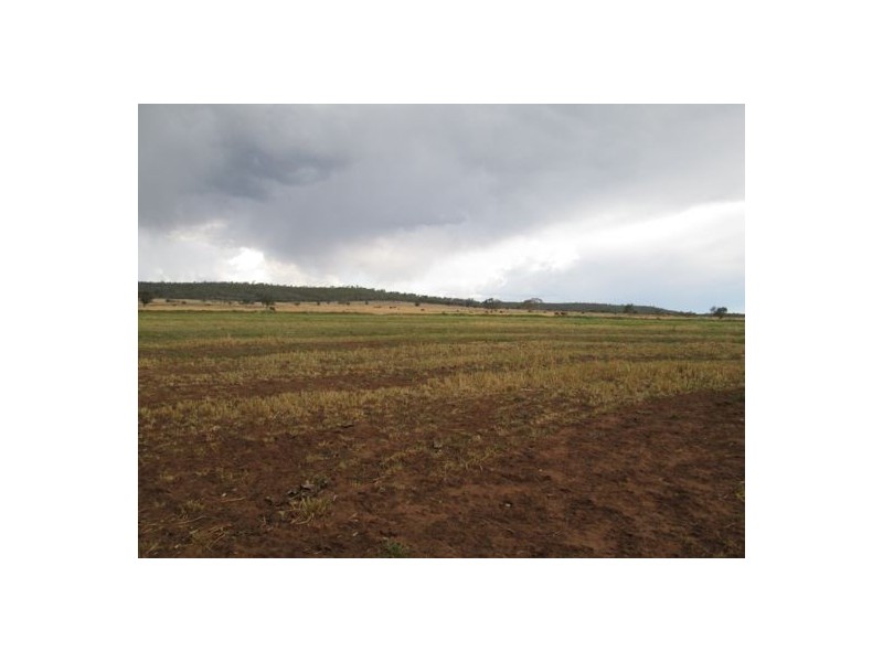 “Belleville”, Biniguy NSW 2399