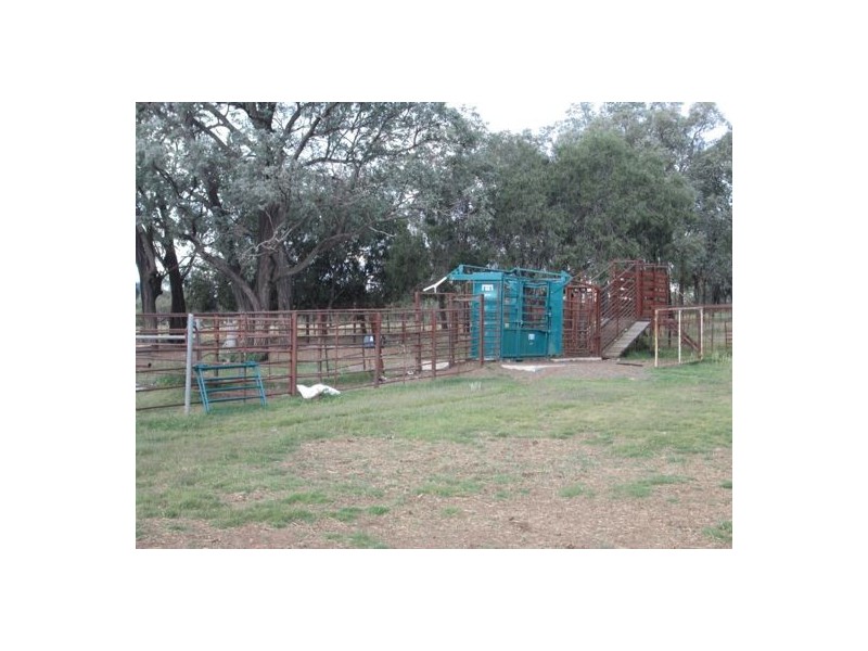 “Belleville”, Biniguy NSW 2399