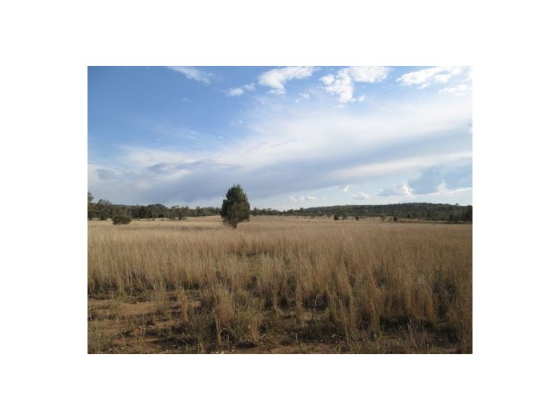 “Belleville”, Biniguy NSW 2399