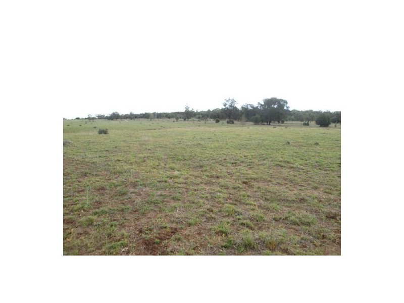 “Belleville”, Biniguy NSW 2399