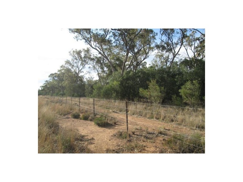 “Belleville”, Biniguy NSW 2399