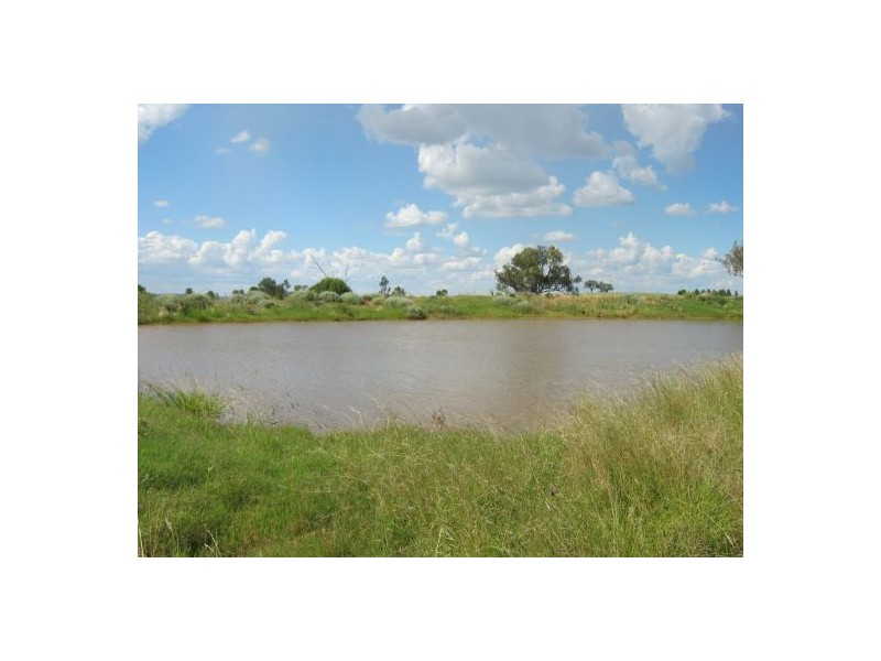 Gee Bung, Gravesend NSW 2401