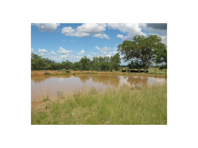 Gee Bung, Gravesend NSW 2401