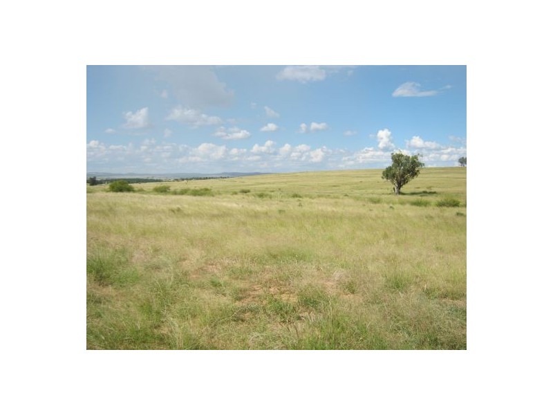 Gee Bung, Gravesend NSW 2401