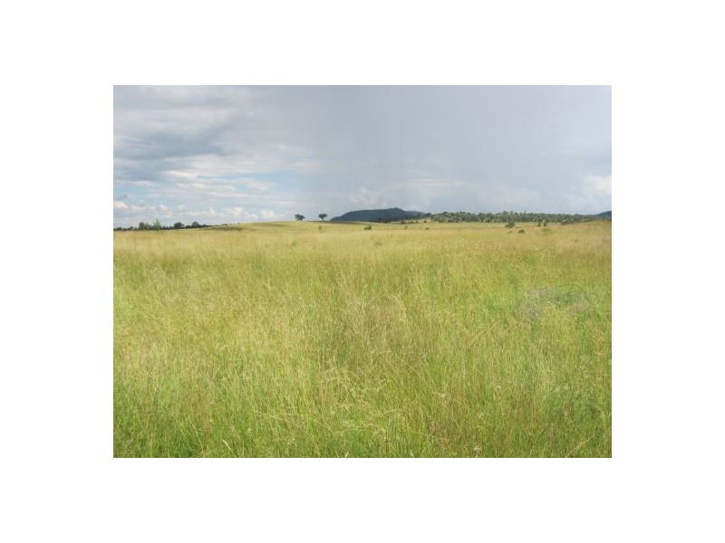 Gee Bung, Gravesend NSW 2401