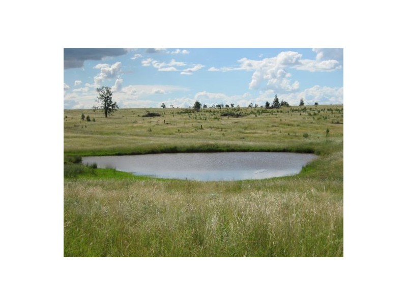 Gee Bung, Gravesend NSW 2401