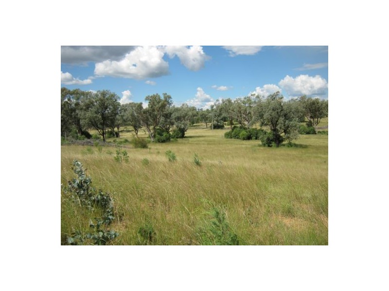 Gee Bung, Gravesend NSW 2401