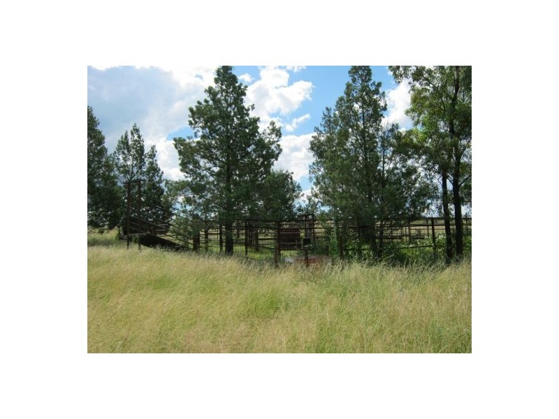 Gee Bung, Gravesend NSW 2401