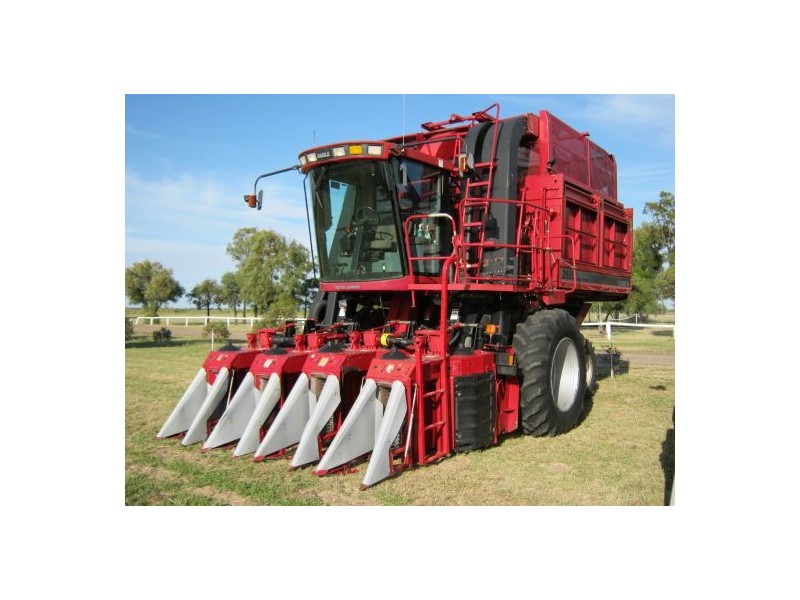 “Moomin”, Rowena NSW 2387