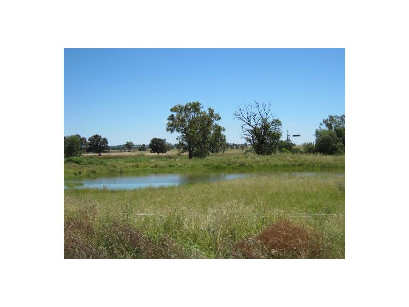 “Kay Six”, Moree NSW 2400