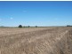 “Kay Six”, Moree NSW 2400