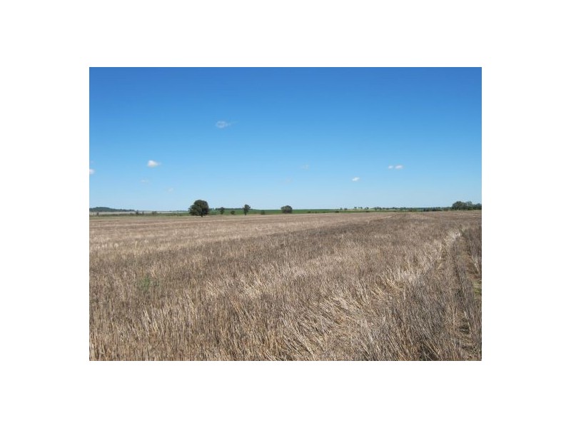 “Kay Six”, Moree NSW 2400