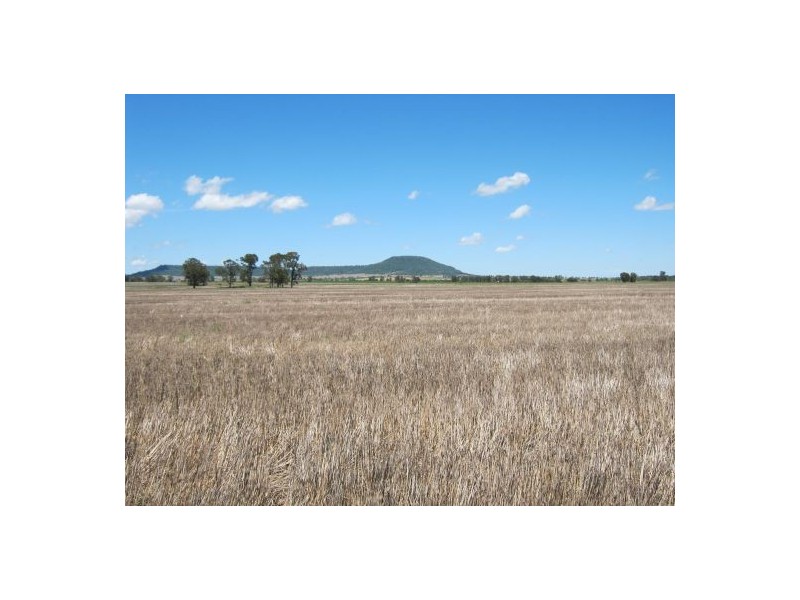 “Kay Six”, Moree NSW 2400