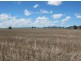 “Kay Six”, Moree NSW 2400