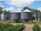 “Kay Six”, Moree NSW 2400