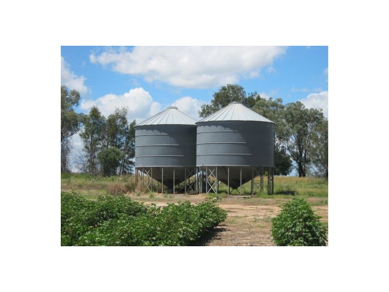 “Kay Six”, Moree NSW 2400