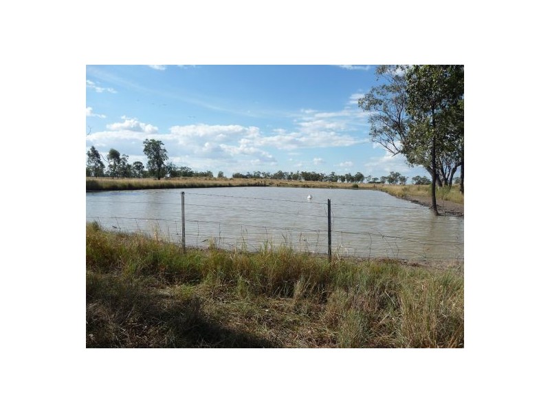 SANBOOK BARTON PLAINS ROAD, Moree NSW 2400
