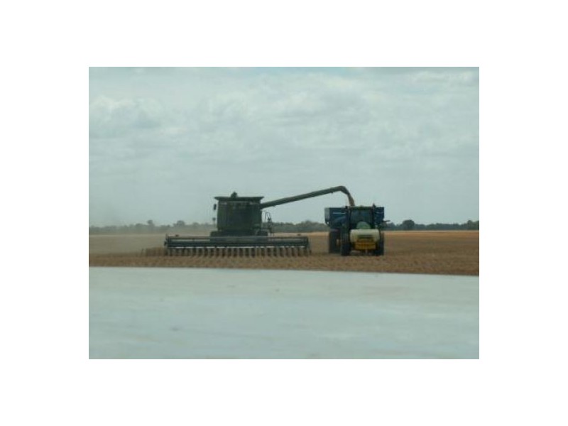 “Nerang”, Moree NSW 2400